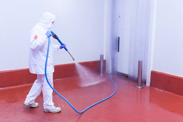 Best Roof Washing  in Smithville, NJ